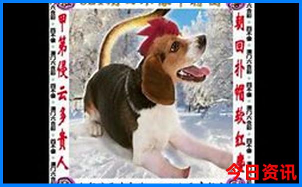 北方旅游去哪里玩比较好